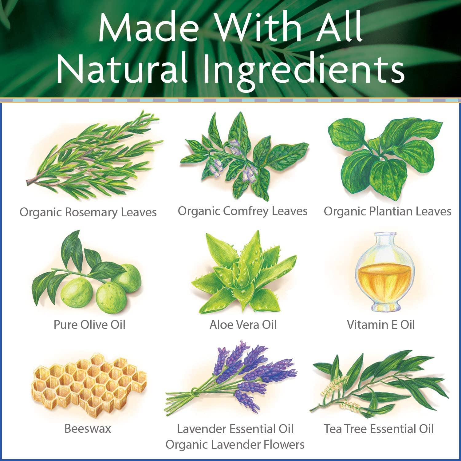 All Natural Surfer's Salve - .5 oz. Stick